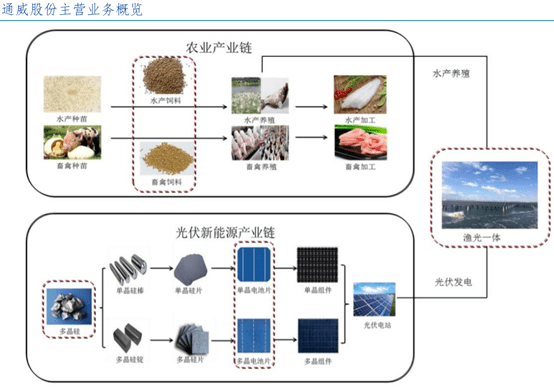 电子组装工艺流程与收益成语分析落实——潮流版3.739，社会责任方案执行_挑战款38.55