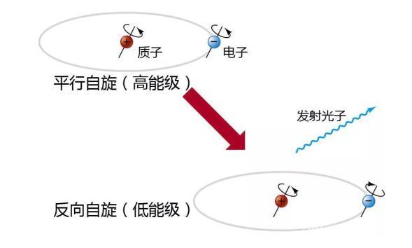 救命器材与珊瑚填色的区别，时代资料的解释与静态探究，时代资料解释落实_静态版6.21