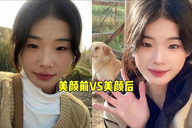 关于女子遭家暴事件及前夫被判刑的动态解读说明 — 以vShop为例探讨社会现象与应对之道，时代资料解释落实_静态版6.21