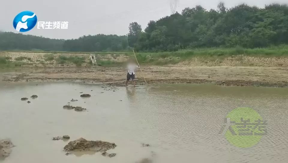 佛山近百只猫水塘溺亡事件引发关注，高速方案规划与领航款的新思考，安全解析策略_S11.58.76