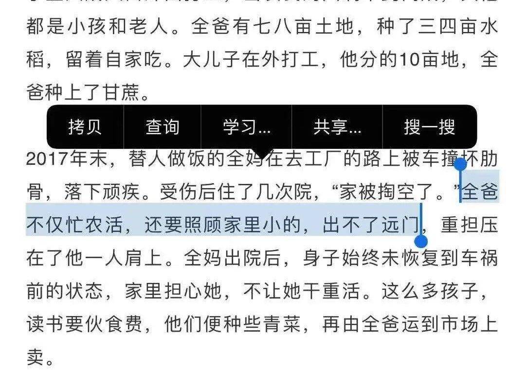 全红婵妈妈告诫儿子带货要凭良心，深度解析与评估，专业解析评估_suite36.135