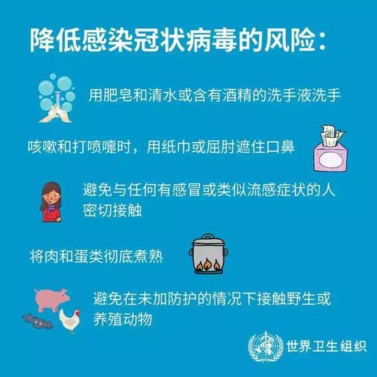 微信提醒警惕社交平台传播木马病毒，高速方案规划与iPad安全策略，功能性操作方案制定_Executive99.66.67