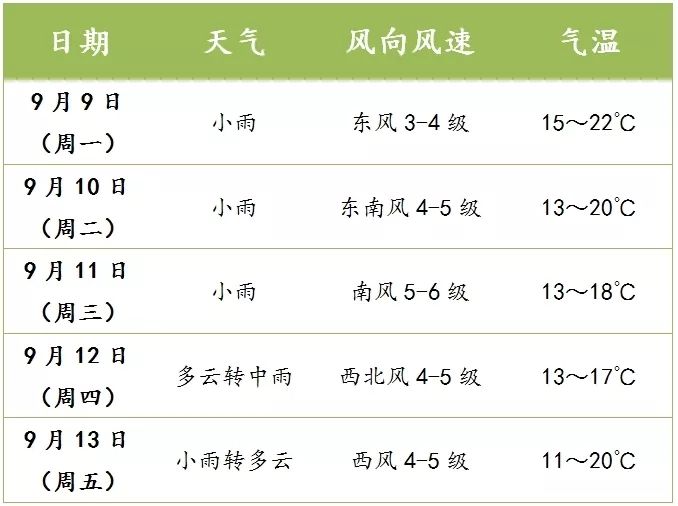 2024年度气象热搜词出炉，社会责任方案执行与气象科技的新挑战，创新计划分析_Executive69.24.47