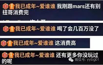 澳门免费资料大全精准版赌两肖——揭秘背后的真相与探索正确解答之道，科学解析评估_经典款59.16.92