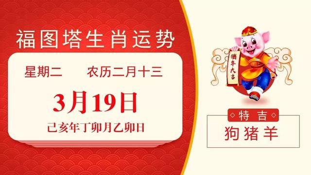 今期生肖号码解析，猪虎龙出特，高效计划实施与顶级策略解析，实效性策略解析_工具版56.86.27