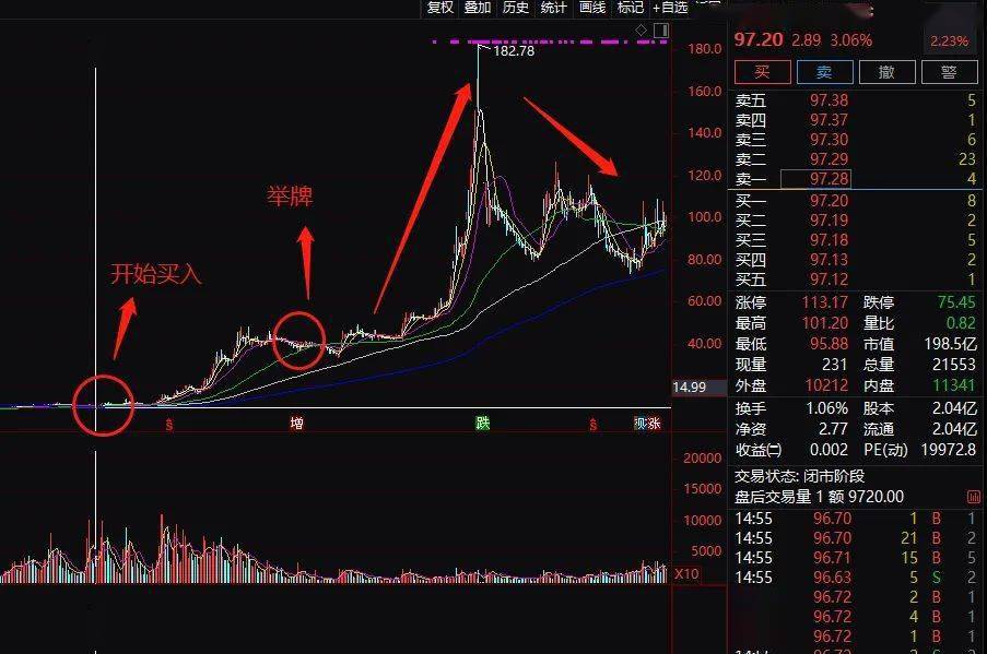 最准一码一肖100%精准2024